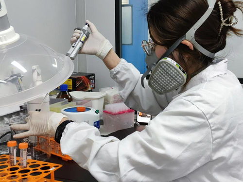 以点带链 以链带面 上海生物制品产业有序复工复产的路径探索