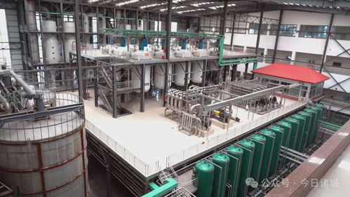 诸城 加快布局生物制造新赛道，抢占生物制品生产新高地